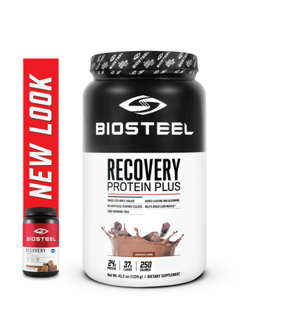 Recovery Protein Plus  / Chocolate - 17 Servings